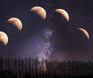 Walking the Crone Path: Embracing Wisdom, Power, and Magic in Our Own Time