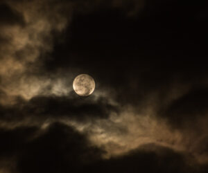 Common Witch & Pagan Greetings