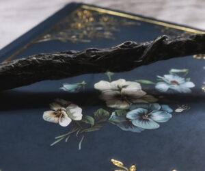 Wands, Words & Witchery ~ An Introduction to Tools & Techniques