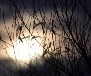 The Witchy Side of Friday the 13th: Embracing the Magic Behind the Superstition