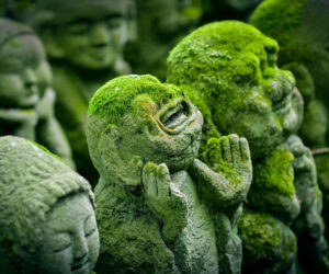 When It Feels Like the Universe Hasn’t Heard You