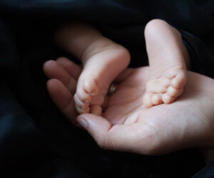 The Day You Were Born: Unlocking Your Hidden Gifts and Natural Talents