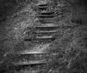 The Law of Access: Opening and Closing Magical Doors