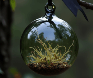 Witch Balls: Ancient Guardians of Home and Hearth