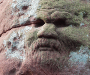 Dunino Den: Scotland’s Living Portal to the Otherworld