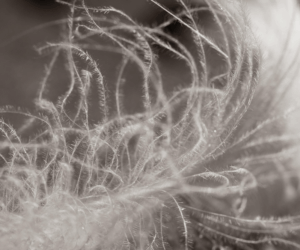 Hidden Magic – Everyday Objects as Powerful Protection