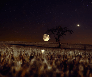 The Wolf Moon Rises ~ January 2026’s Supermoon Marks the Last Until Year’s End