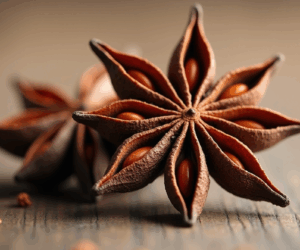 Star Anise: The Eight-Pointed Guide to Magical Direction