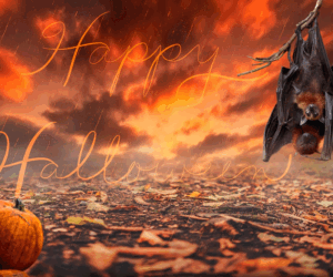 Halloween: Ancient Roots, Sacred Symbolism, and Modern Commercialism