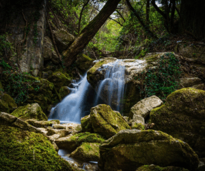 The Sacred Waters: A Guide to Water Types in Witchcraft