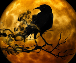 Wisdom From Our Witchy Winged Allies