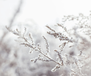 Small Winter Rituals to Embrace the Magic of the Season