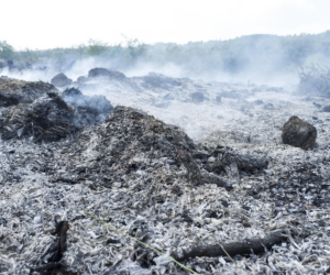 The Magic of Ash Sacred Residue in Spellwork and Ritual